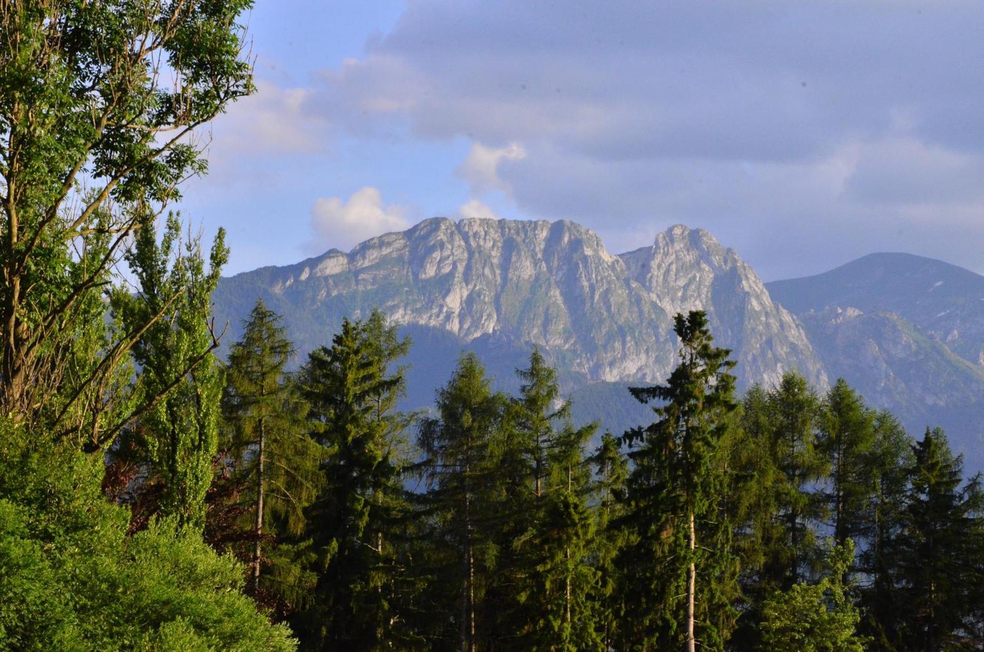 Chata Walczakow -Blue Cave Cottage Zakopane Bagian luar foto