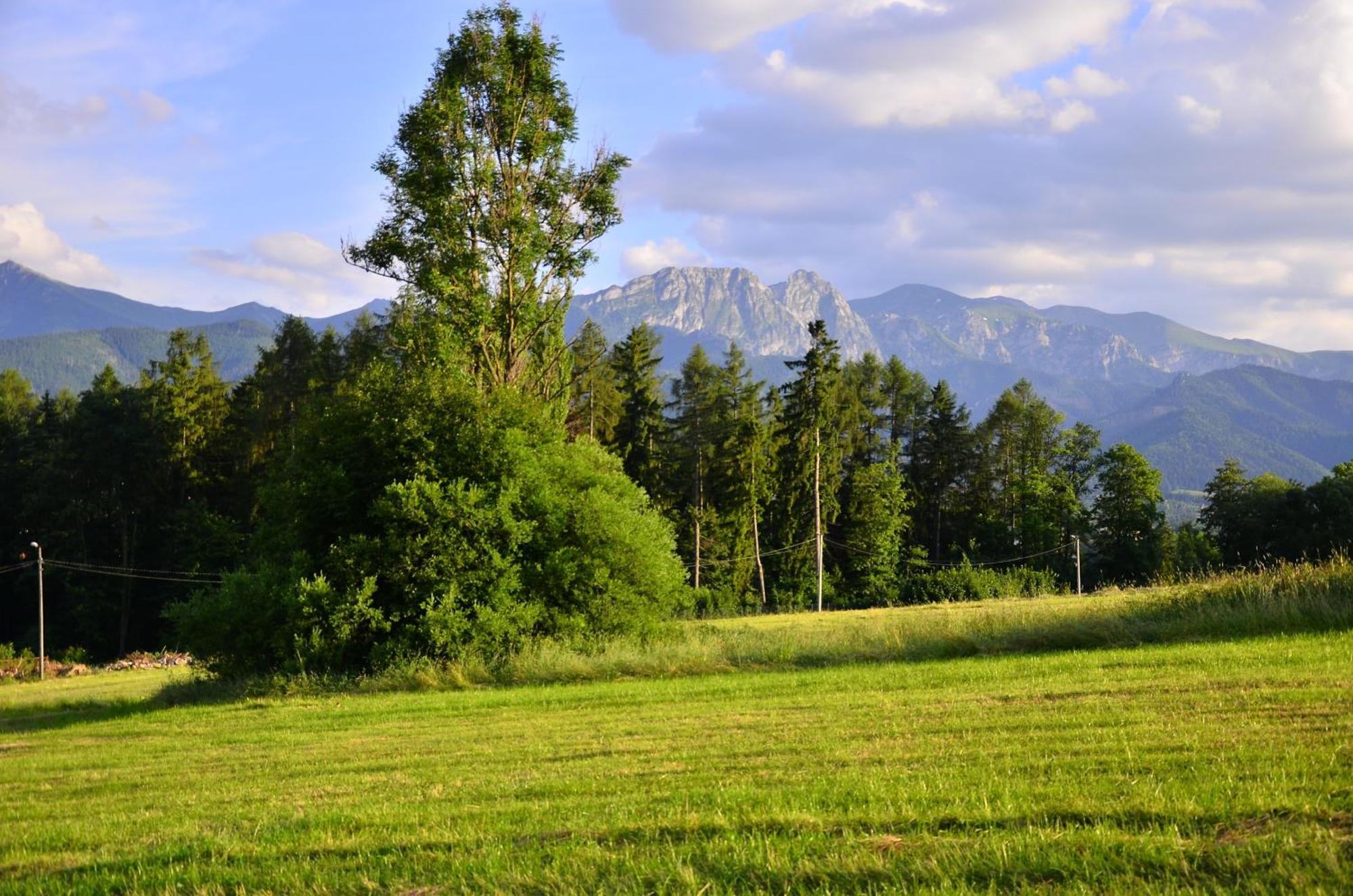 Chata Walczakow -Blue Cave Cottage Zakopane Bagian luar foto